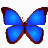 数码照片浏览器(bkViewer) v6.0h官方版