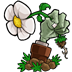 植物大战僵尸95版 电脑版